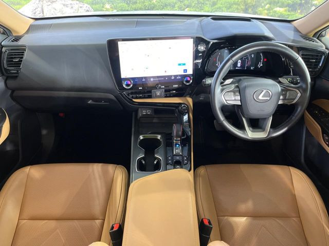 NX250 バージョンL