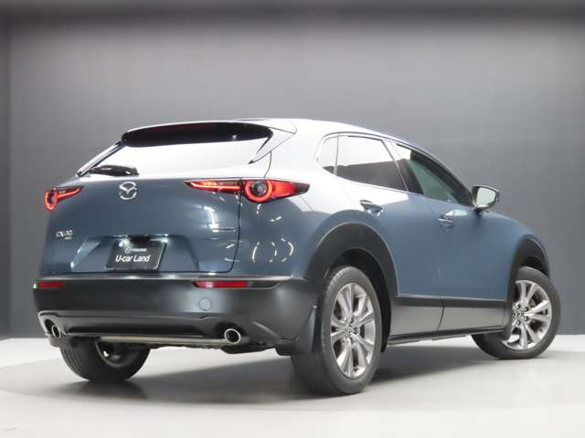 CX-301.8 XD プロアクティブ ツーリングセレクション 4WD