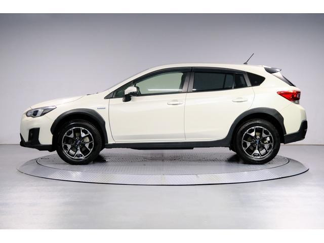 XV