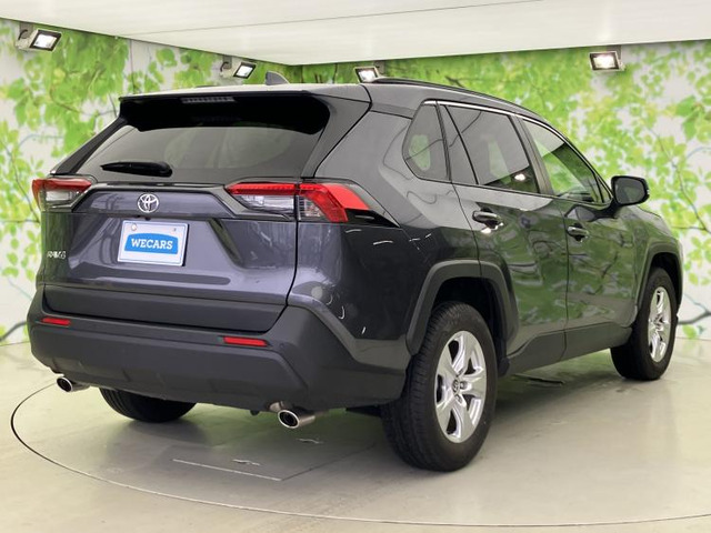 RAV42.0 X