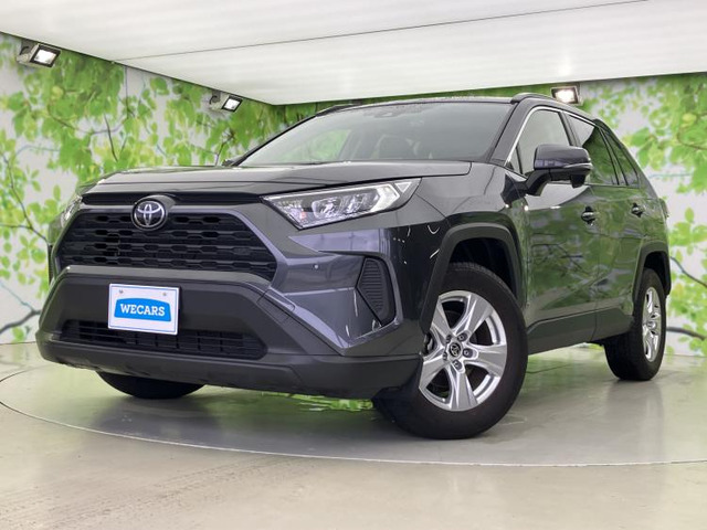 RAV42.0 X