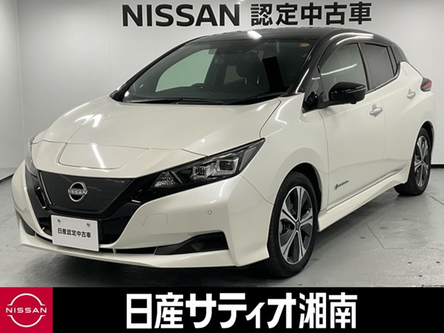 リーフ