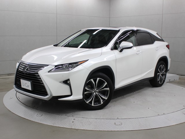 RX300 バージョンL