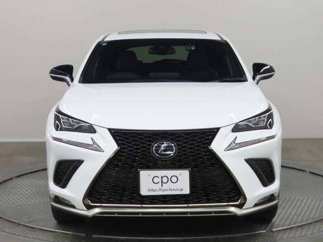 NX300h アーバンスタイル