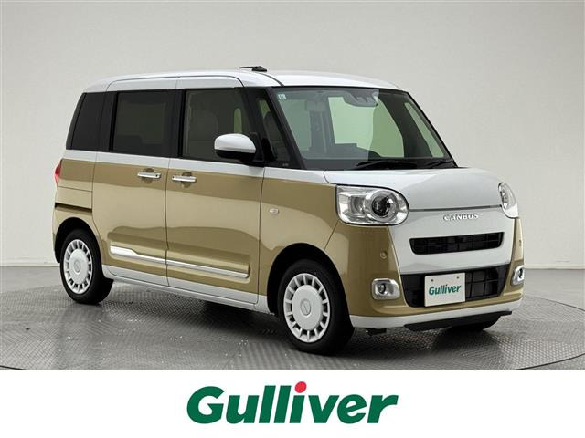 ムーヴキャンバスストライプス G