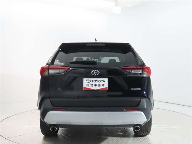 RAV42.0 アドベンチャー 4WD
