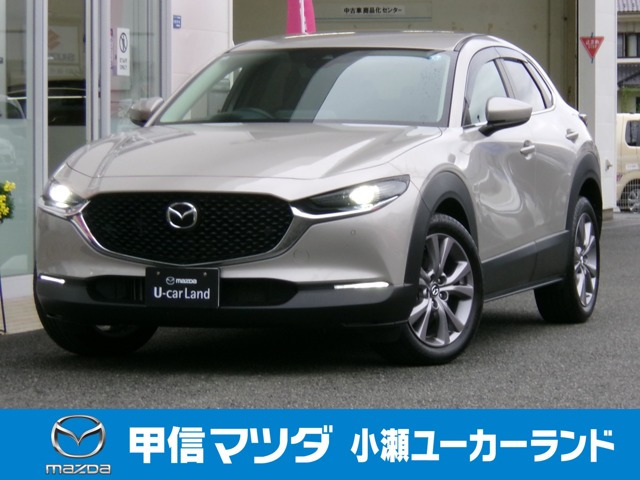 CX-302.0 20S