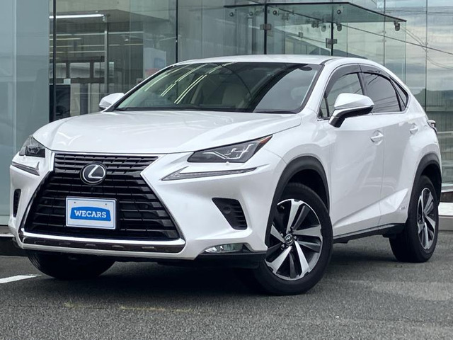 NX300h バージョンL