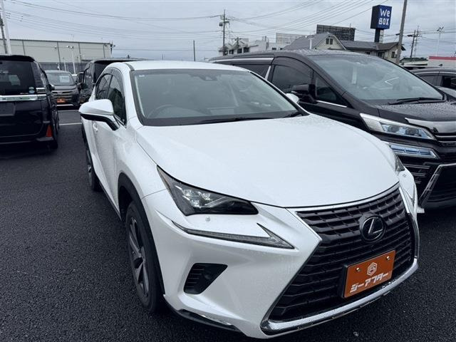 NX300h Iパッケージ 4WD