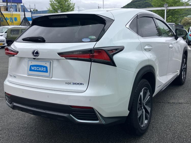 NX300h バージョンL