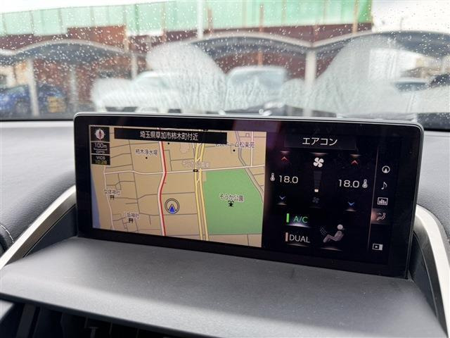NX300h Iパッケージ 4WD