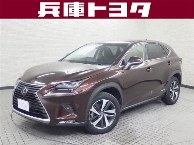 NX300h バージョンL