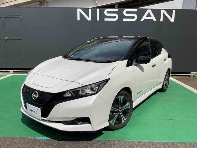 リーフ