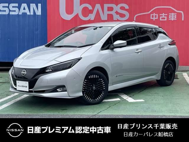 リーフe+ G