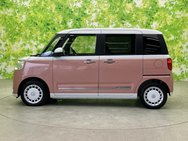 ムーヴキャンバスストライプス G