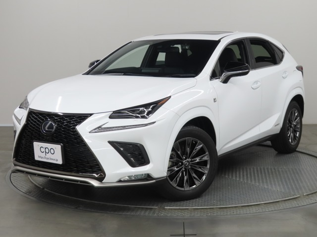 NX300h アーバンスタイル