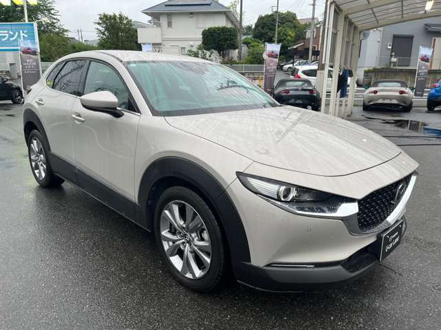 CX-301.8 XD プロアクティブ ツーリングセレクション