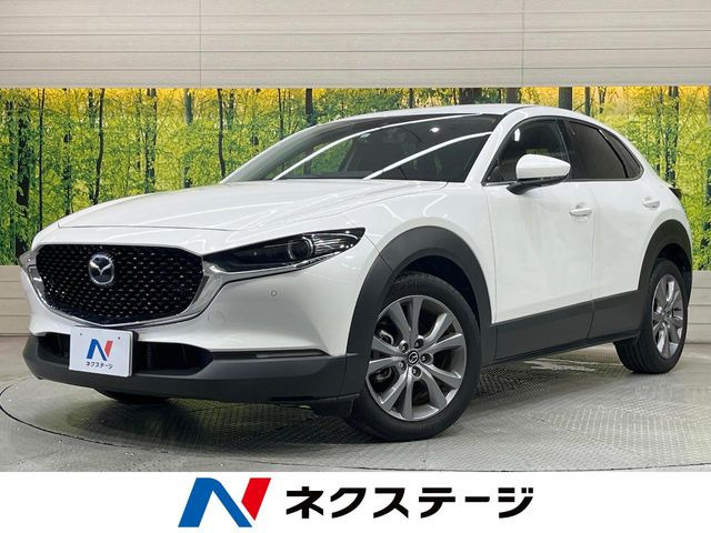 CX-302.0 20S プロアクティブ