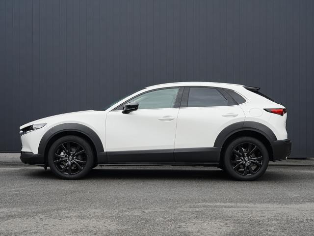 CX-30