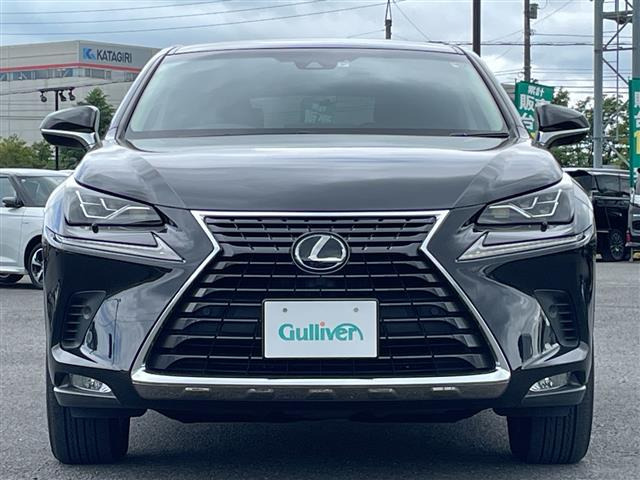 NX300h バージョンL