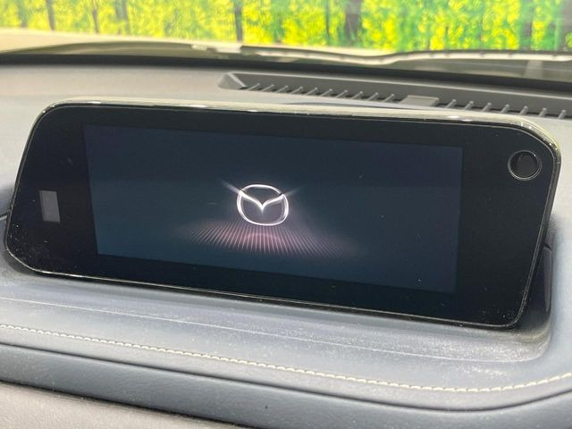 CX-302.0 20S プロアクティブ