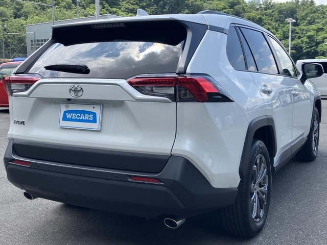 RAV42.0 X