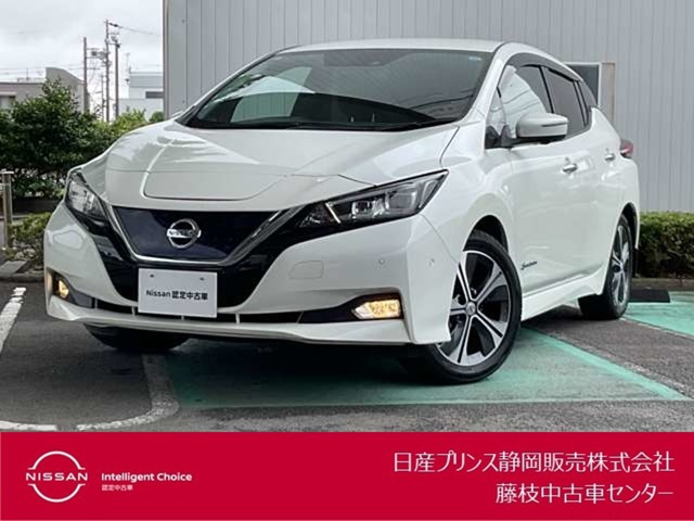 リーフG