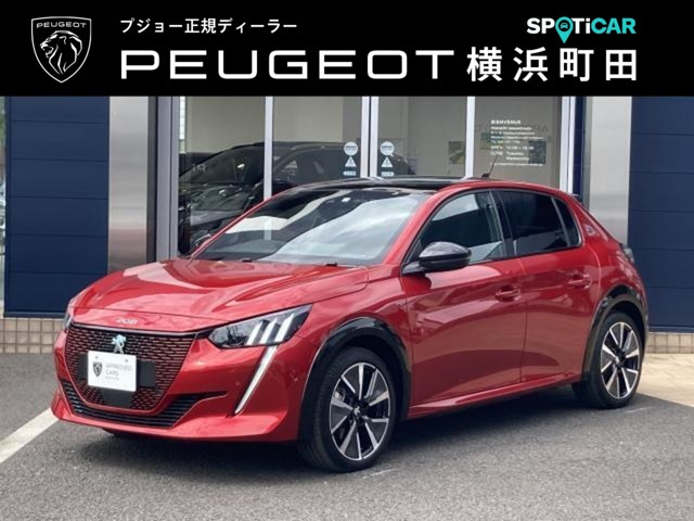 e-208GT