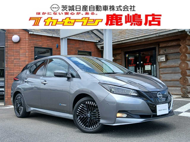 リーフe+ G
