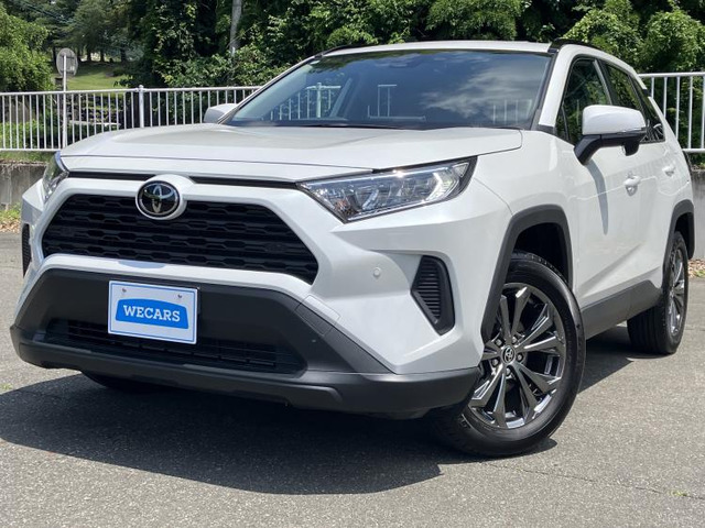 RAV42.0 X