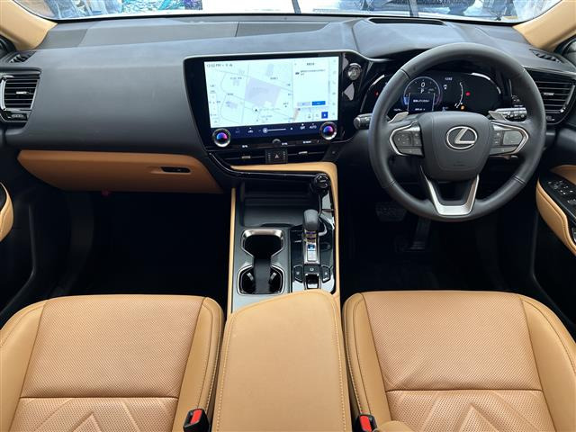 NX250 バージョンL