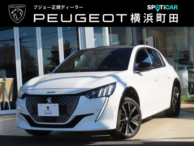 e-208GT