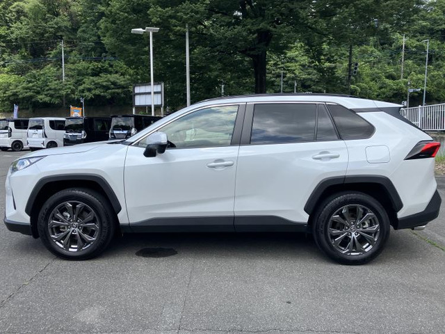 RAV42.0 X