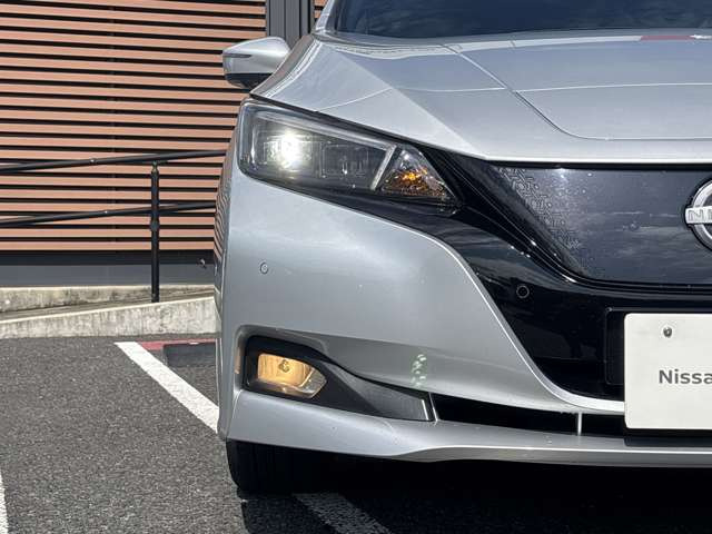 リーフG