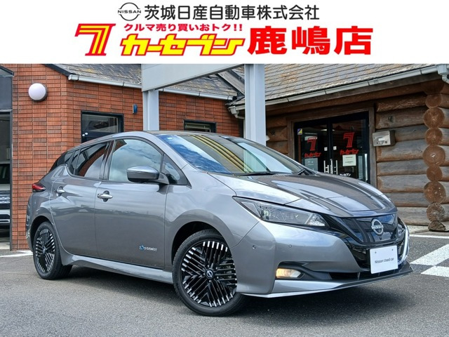 リーフe+ G