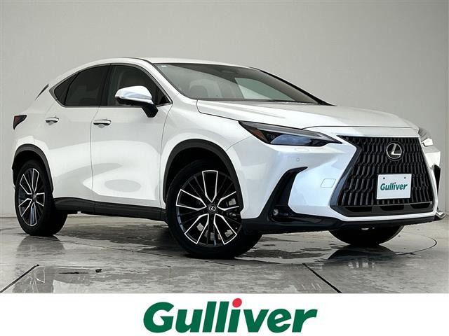 NX250 バージョンL