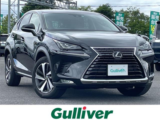 NX300h バージョンL