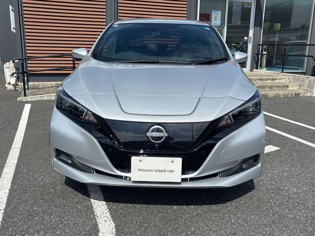 リーフG