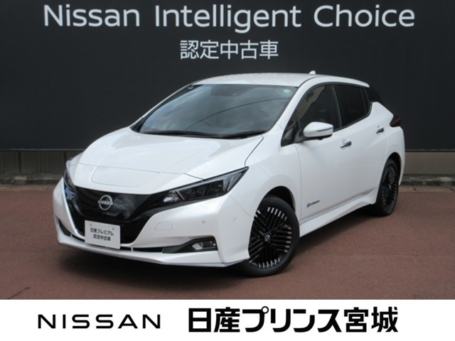 リーフe+ G