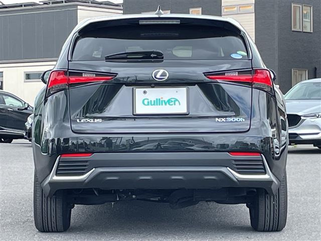 NX300h バージョンL