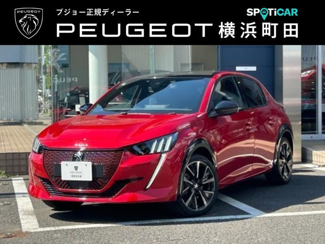 e-208GT