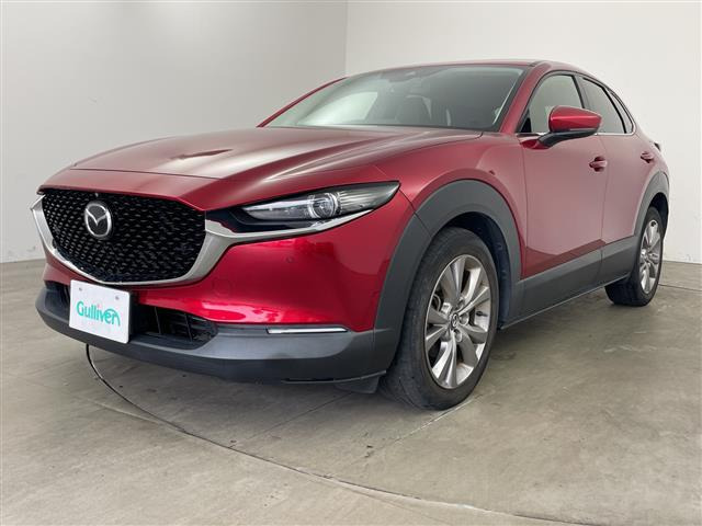 CX-301.8 XD Lパッケージ