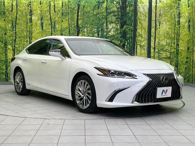 �������x�̃K���X�疌�ŝ����͂������A�㎿�ȃc���E����������B���O����_���J�����؂Ȉ��Ԃ�ی삵�A�F�����E�򉻂�h�~�B�u�e�X�v���b�V���R�[�g�v�A�u�e�v���~�b�T�R�[�g�v���炨�I�т��������܂��B