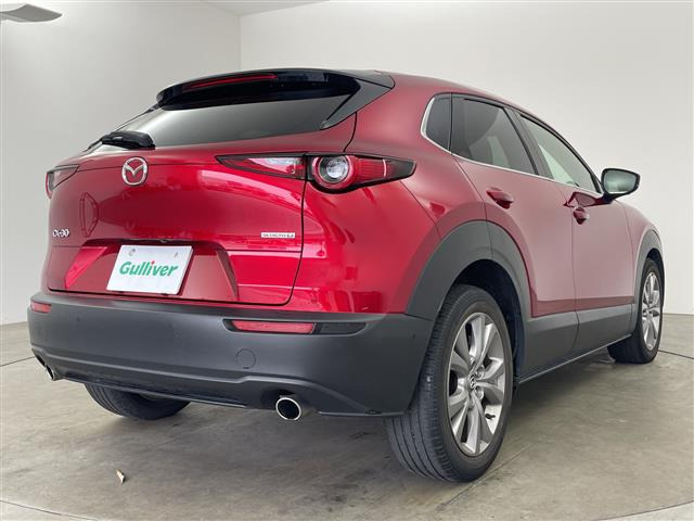 CX-301.8 XD Lパッケージ