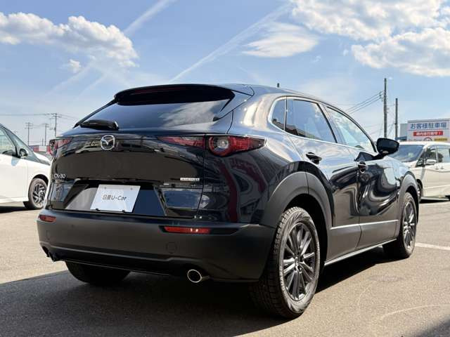 CX-30