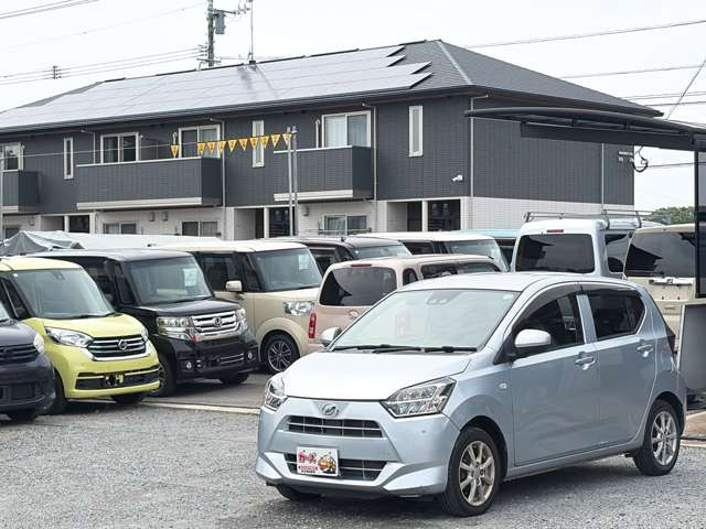 �y39.8���X�J�[�Y�̎��q���������������A���ɂ��肪�Ƃ��������܂��B���������S�s���c1186-7TEL:0942-73-6060�܂ł��⍇����������