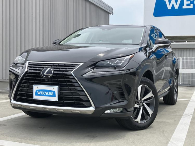 NX300h バージョンL