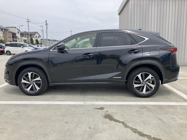 NX300h バージョンL