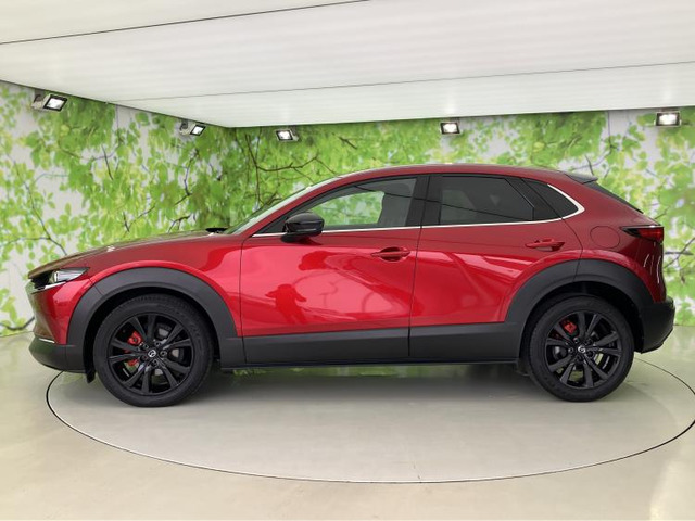 CX-301.8 XD ブラックトーンエディション