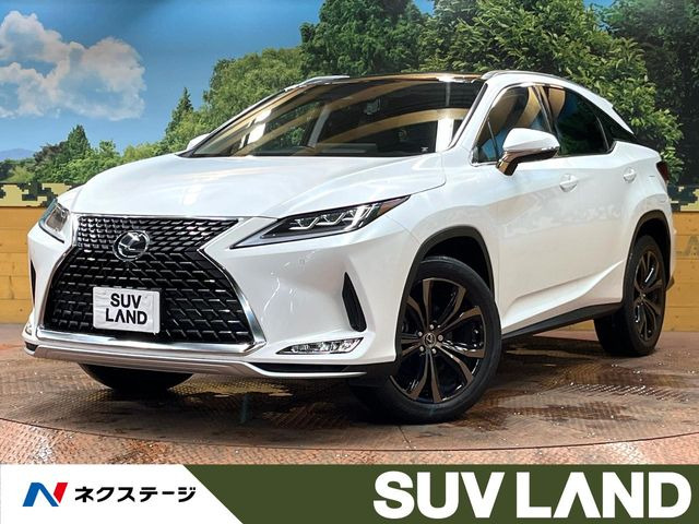 RX300 バージョンL
